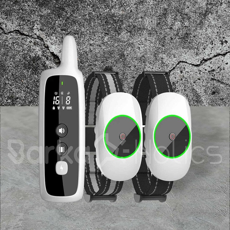 PET310 Remote Dog Training Collar 1-2 Dogs 1000m