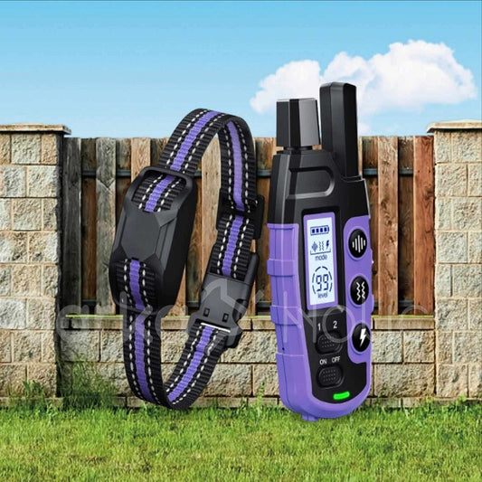 RS2 Remote Dog Training Collar 1-2 Dogs 1000m