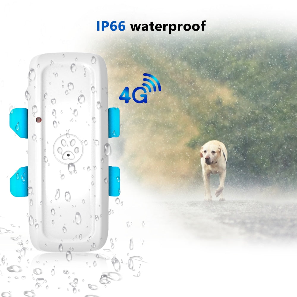 MediTrackGPS® 4G LTE Pet GPS Tracker Collar for Dogs MT911 Pro - BARKAHOLICS®